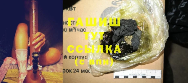 молекула духа Богданович