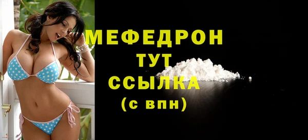 молекула духа Богданович