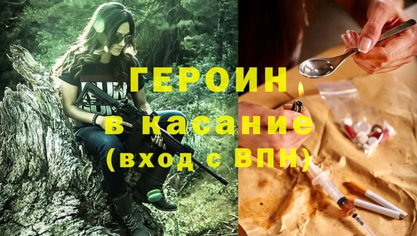 молекула духа Богданович
