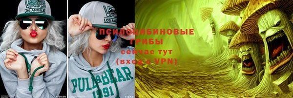 молекула духа Богданович