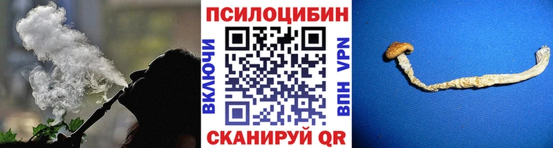 blacksprut вход  Яхрома  Псилоцибиновые грибы Psilocybe  где продают  