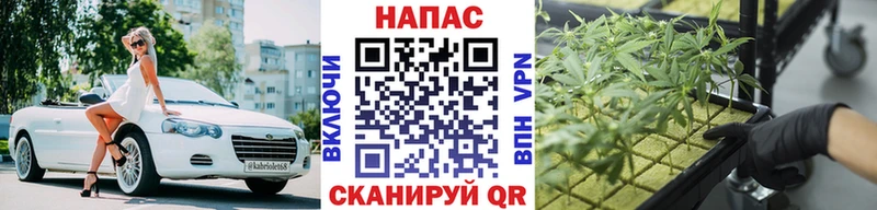 купить закладку  Яхрома  МАРИХУАНА THC 21% 